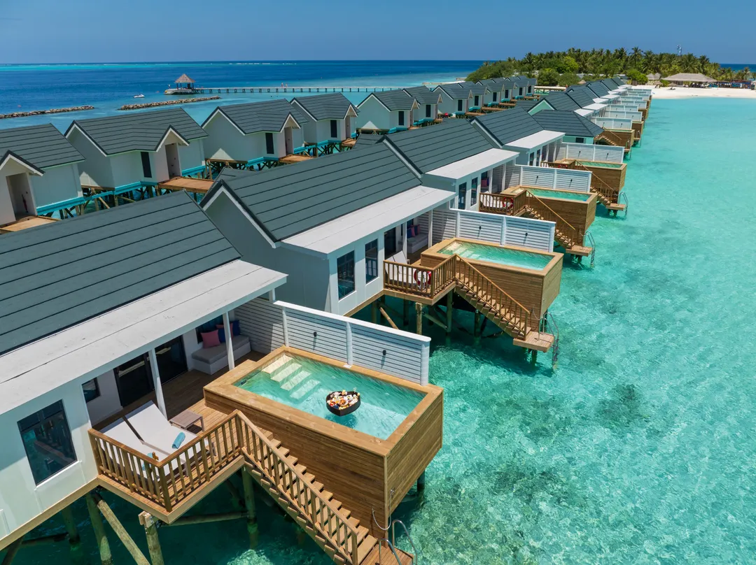 Brand Growth - Image 2