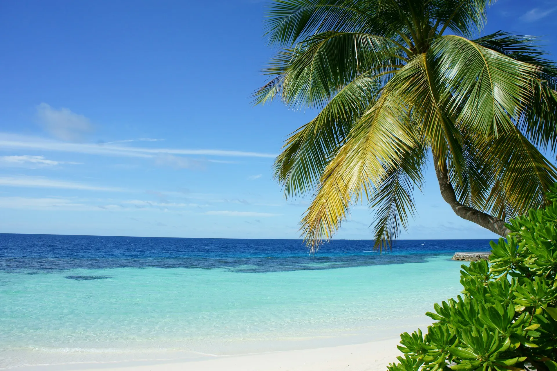 Kasanfaaru